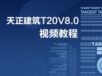 T20V8.0̌Wҕl_ܛԌWW